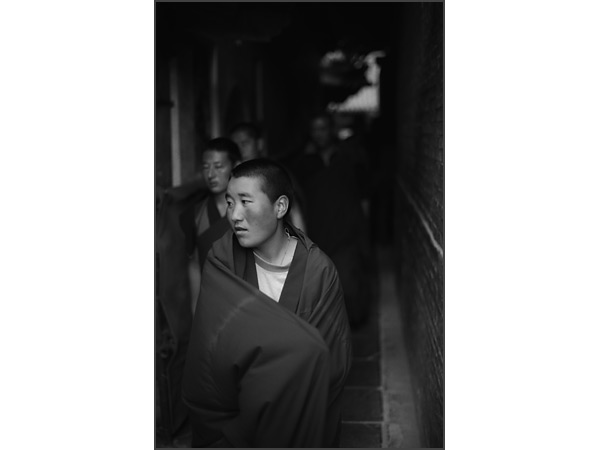 Andrew Ross - Humanity - Tayuan Temple, Wutaishan