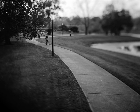 Andrew Ross - Transience - St. CHS Park I